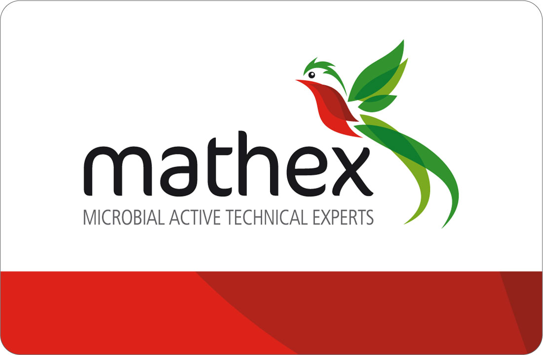 logo-mathex